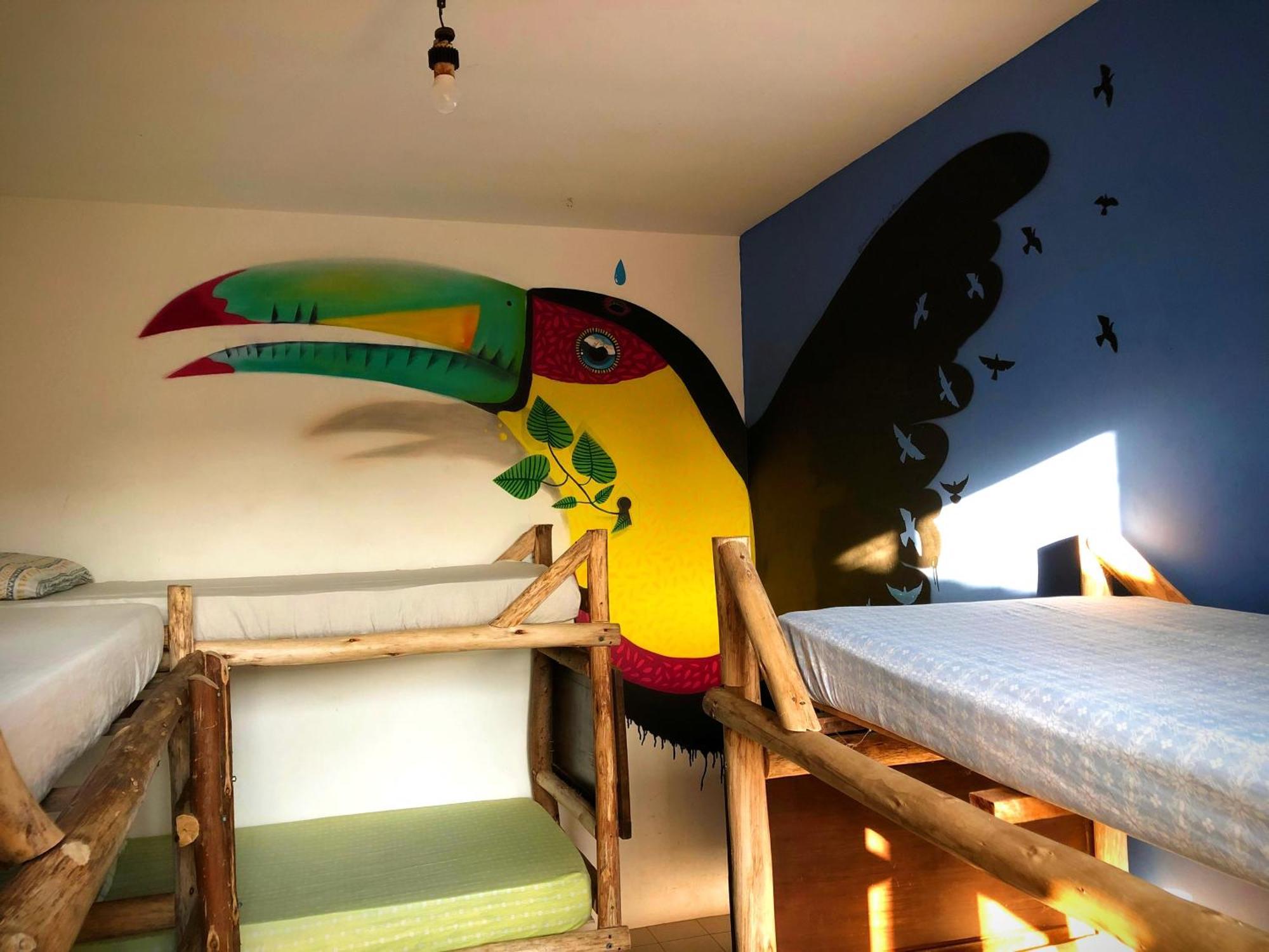 Katsbarnea Hostel - Florianopolis — Photos 1